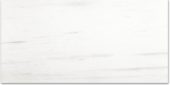 Polished Devotion 24X48 | Alita Tile