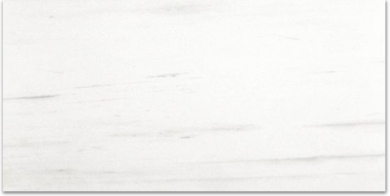 Polished Devotion 24X48 | Alita Tile