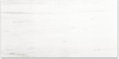 Polished Devotion 24X48 | Alita Tile