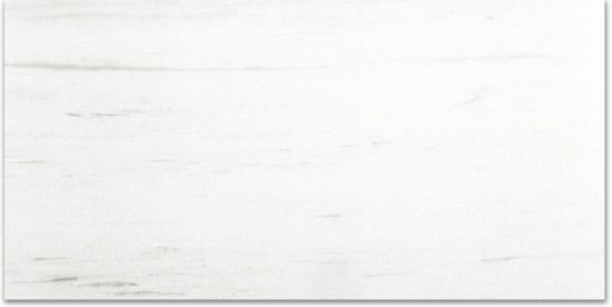 Polished Devotion 24X48 | Alita Tile