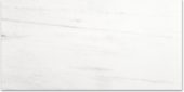 Polished Devotion 24X48 | Alita Tile