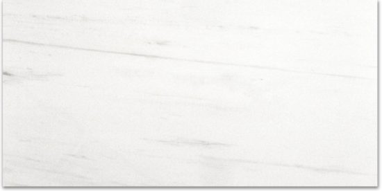 Polished Devotion 24X48 | Alita Tile