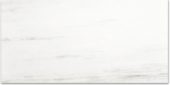 Polished Devotion 24X48 | Alita Tile