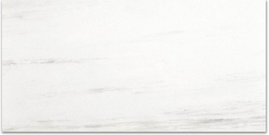Polished Devotion 24X48 | Alita Tile