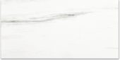 Polished Devotion 24X48 | Alita Tile