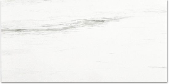 Polished Devotion 24X48 | Alita Tile