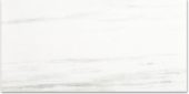 Polished Devotion 24X48 | Alita Tile