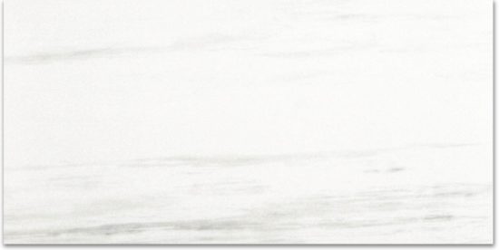 Polished Devotion 24X48 | Alita Tile