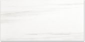 Polished Devotion 24X48 | Alita Tile