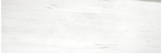 Polished Devotion 4X12 | Alita Tile