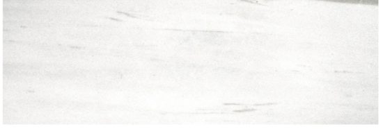 Polished Devotion 4X12 | Alita Tile