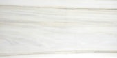 Polished Enchantment 16X32 | Alita Tile