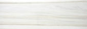 Polished Enchantment 4X12 | Alita Tile