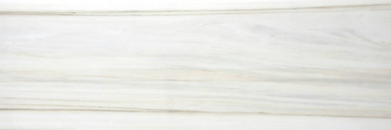 Polished Enchantment 4X12 | Alita Tile