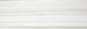 Polished Enchantment 4X12 | Alita Tile
