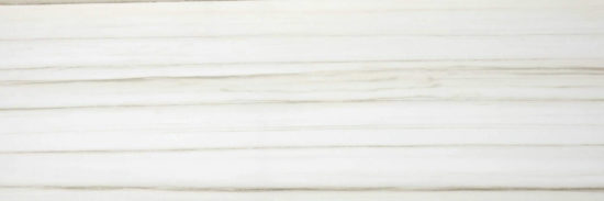Polished Enchantment 4X12 | Alita Tile