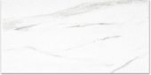Polished Infatuation 12X24 | Alita Tile