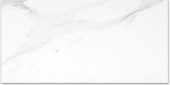 Polished Infatuation 12X24 | Alita Tile