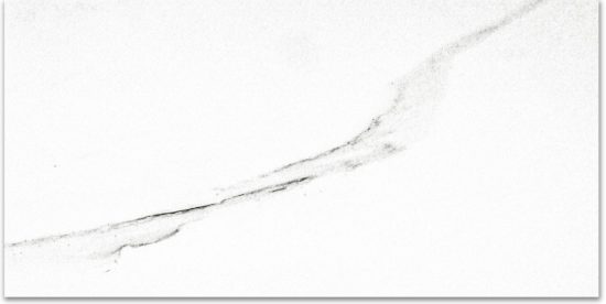 Polished Infatuation 16X32 | Alita Tile