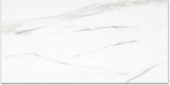 Polished Infatuation 16X32 | Alita Tile