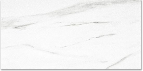 Polished Infatuation 16X32 | Alita Tile