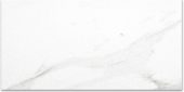Polished Infatuation 16X32 | Alita Tile
