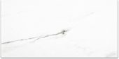 Polished Infatuation 16X32 | Alita Tile