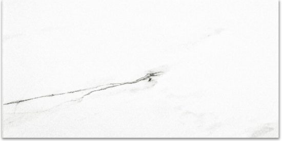 Polished Infatuation 16X32 | Alita Tile