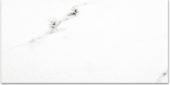 Polished Infatuation 16X32 | Alita Tile