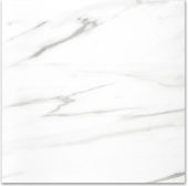 Polished Infatuation 24X24 | Alita Tile
