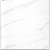 Polished Infatuation 24X24 | Alita Tile