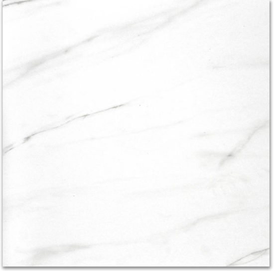 Polished Infatuation 24X24 | Alita Tile