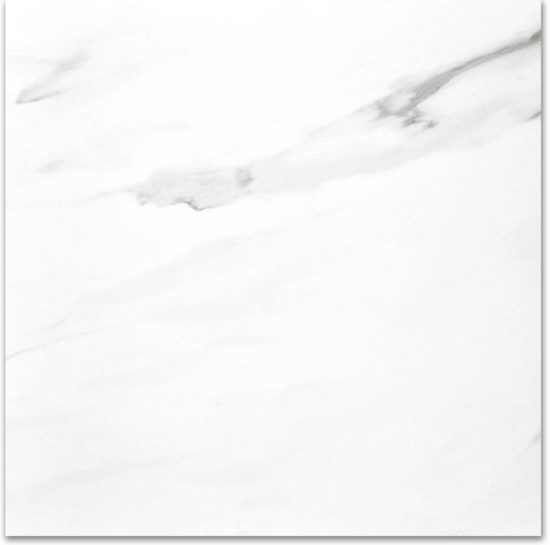 Polished Infatuation 24X24 | Alita Tile