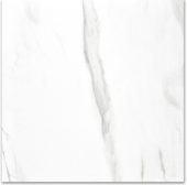 Polished Infatuation 24X24 | Alita Tile