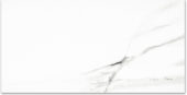 Polished Infatuation 24X48 | Alita Tile