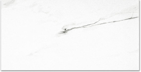 Polished Infatuation 24X48 | Alita Tile