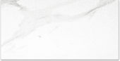 Polished Infatuation 24X48 | Alita Tile