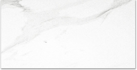 Polished Infatuation 24X48 | Alita Tile