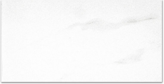 Polished Infatuation 24X48 | Alita Tile