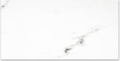 Polished Infatuation 24X48 | Alita Tile