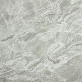 Polished Inspiration 24X24 | Alita Tile