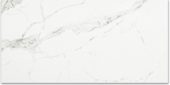 Polished Love 12X24 | Alita Tile