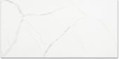 Polished Love 12X24 | Alita Tile