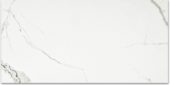 Polished Love 16X32 | Alita Tile