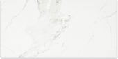 Polished Love 16X32 | Alita Tile