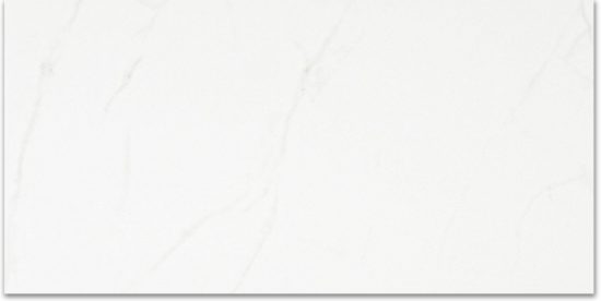 Polished Love 24X48 | Alita Tile