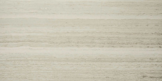 Polished Passion 16X32 | Alita Tile