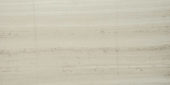 Polished Passion 16X32 | Alita Tile