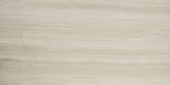 Polished Passion 24X48 | Alita Tile