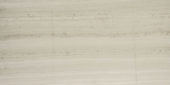 Polished Passion 24X48 | Alita Tile